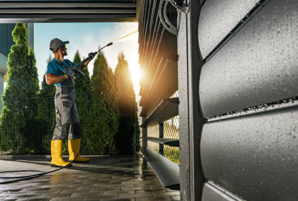 Best Exterior Home Cleaning  in Trenton, IL