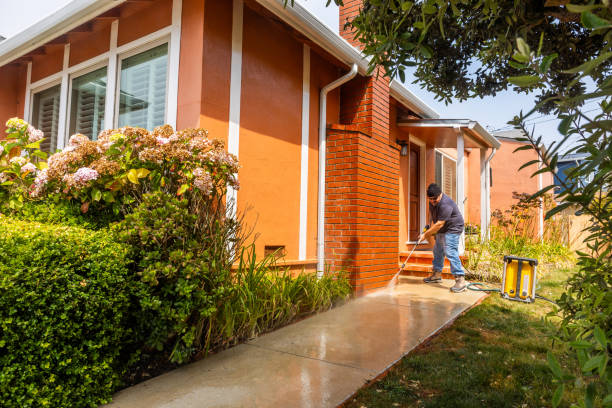 Best Power Washing Near Me  in Trenton, IL