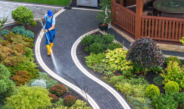 Best Best Pressure Washing Companies  in Trenton, IL
